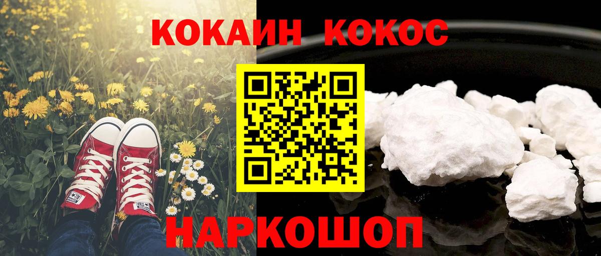 COCAIN Fish Scale  КОКАИН  Губкин  Вход с VPN 