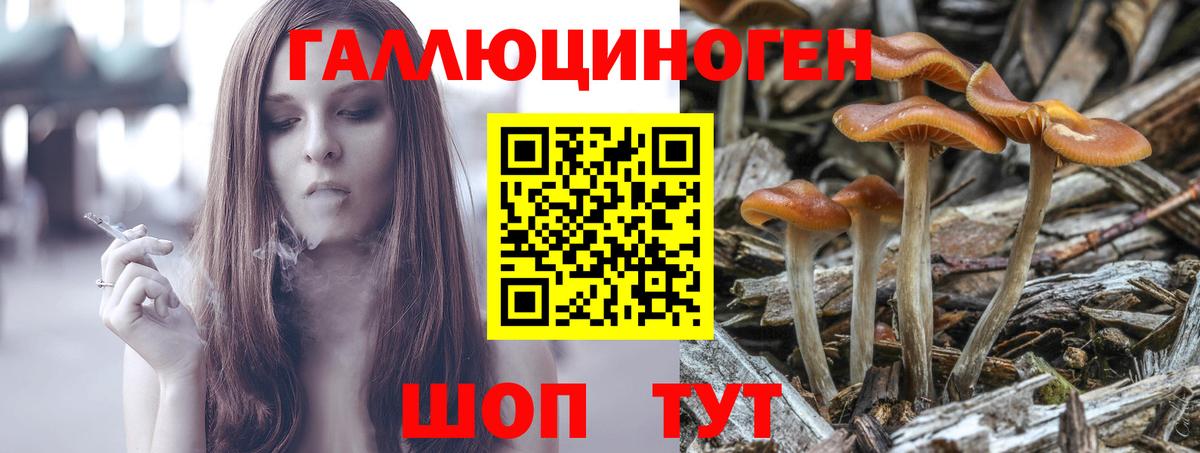 Губкин  Псилоцибиновые грибы MAGIC MUSHROOMS  Псилоцибиновые грибы мицелий  дарнет шоп  Вход с VPN 